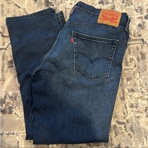 Levis 541 / mens 34 w 30 L